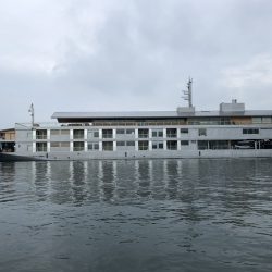 Magic（マジック） 釣果