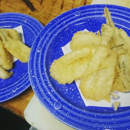 リトルワン 釣果