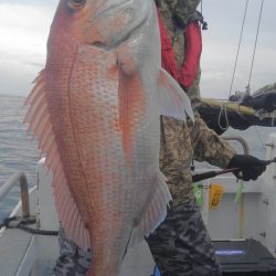 遊漁船 新鋭丸 釣果