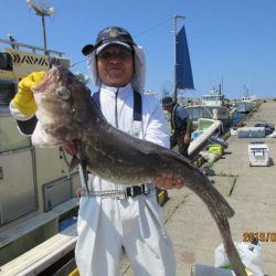 大進丸(新潟) 釣果