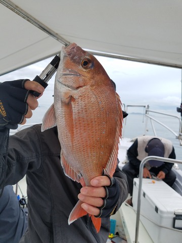 遊漁船　ニライカナイ 釣果