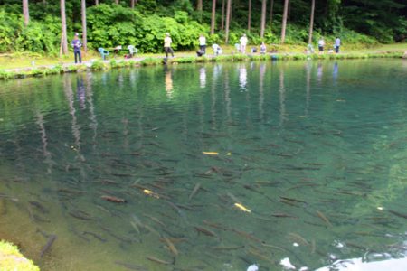 小菅トラウトガーデン 釣果