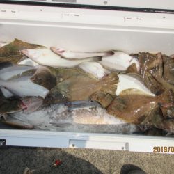 大進丸(新潟) 釣果