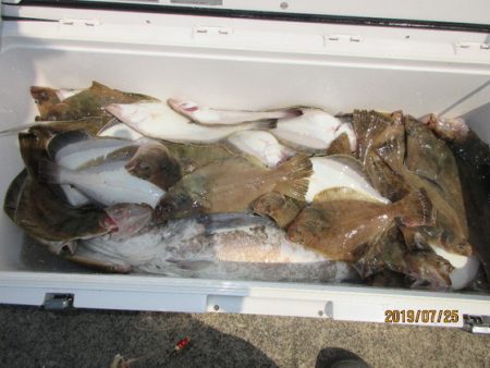 大進丸(新潟) 釣果