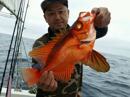 つれ鷹丸 釣果