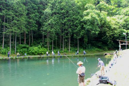 小菅トラウトガーデン 釣果