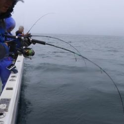 スカイマリン 釣果