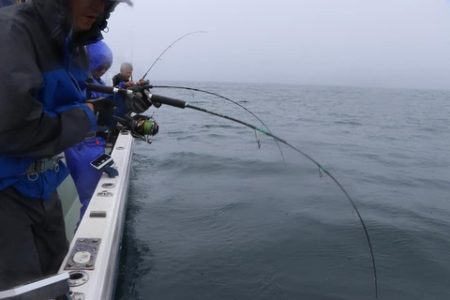 スカイマリン 釣果