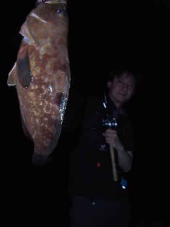 シーマジカル 釣果