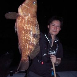 シーマジカル 釣果