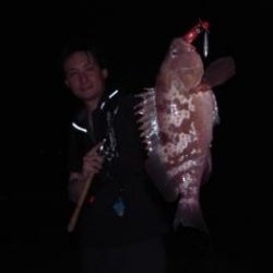 シーマジカル 釣果