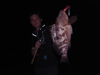 シーマジカル 釣果