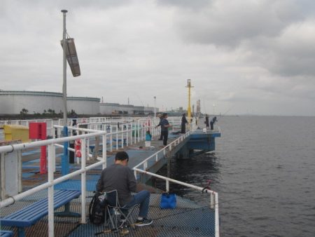オリジナルメーカー海づり公園(市原市海づり施設) 釣果