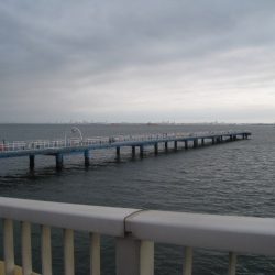 オリジナルメーカー海づり公園(市原市海づり施設) 釣果