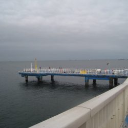 オリジナルメーカー海づり公園(市原市海づり施設) 釣果