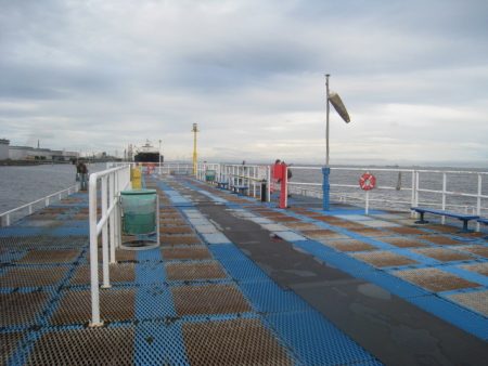 オリジナルメーカー海づり公園(市原市海づり施設) 釣果