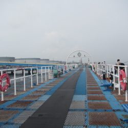 オリジナルメーカー海づり公園(市原市海づり施設) 釣果