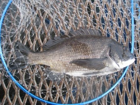 オリジナルメーカー海づり公園(市原市海づり…