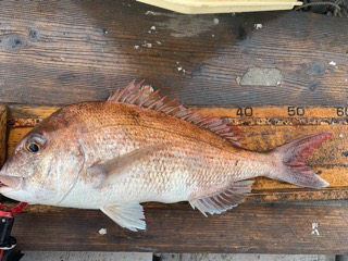 幸吉丸 釣果
