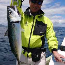 気仙沼　つり丸 釣果