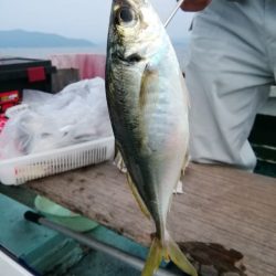 松福丸 釣果