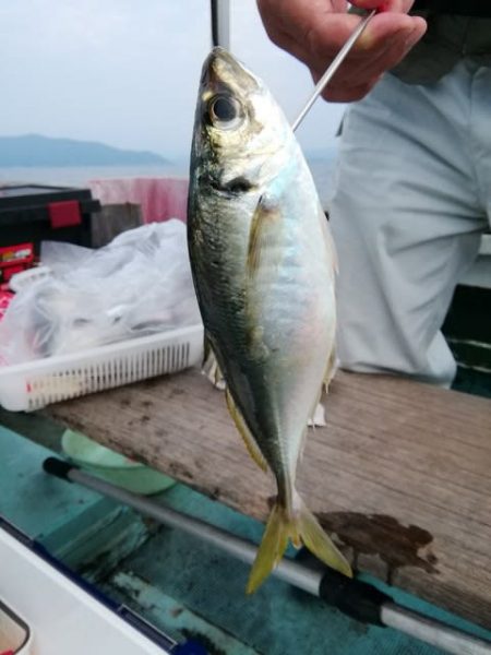 松福丸 釣果