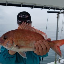 遊漁船 ニライカナイ 釣果