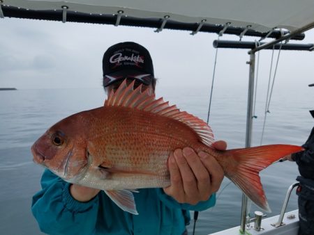 遊漁船 ニライカナイ 釣果