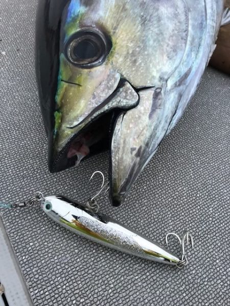 へいみつ丸 釣果