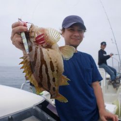 TOPGUN名古屋 釣果