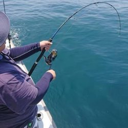 スカイマリン 釣果