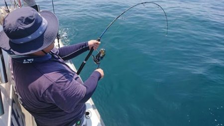 スカイマリン 釣果