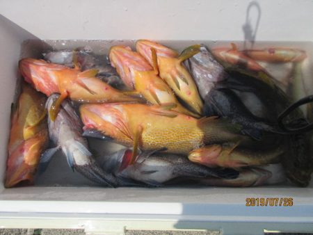 大進丸（新潟） 釣果