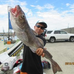 大進丸（新潟） 釣果