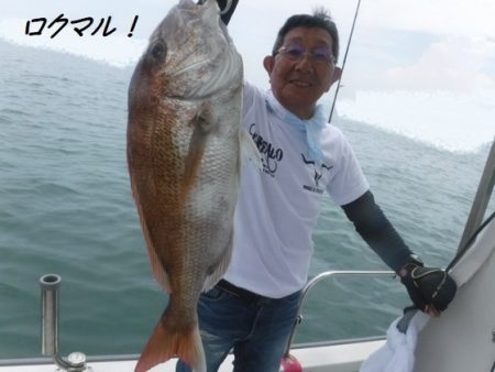 遊漁船 幸友丸 釣果