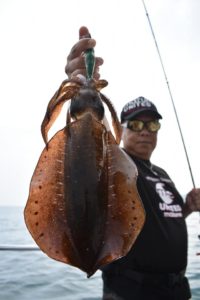 Fisherman Dreams DI 釣果