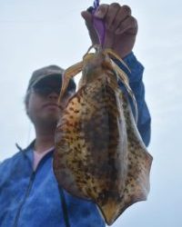 Fisherman Dreams DI 釣果