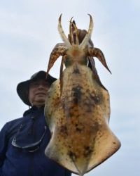 Fisherman Dreams DI 釣果