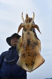 Fisherman Dreams DI 釣果