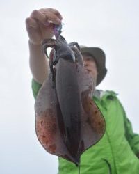 Fisherman Dreams DI 釣果