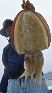 Fisherman Dreams DI 釣果