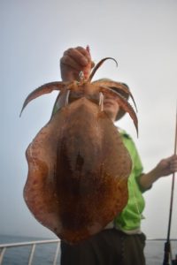 Fisherman Dreams DI 釣果