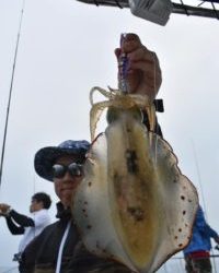 Fisherman Dreams DI 釣果