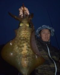 Fisherman Dreams DI 釣果