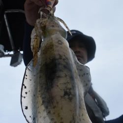 Fisherman Dreams DI 釣果