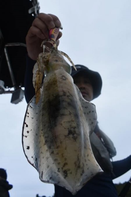 Fisherman Dreams DI 釣…