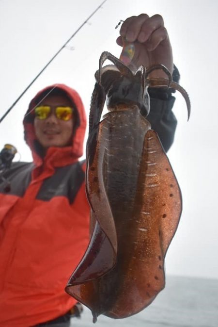 Fisherman Dreams DI 釣果