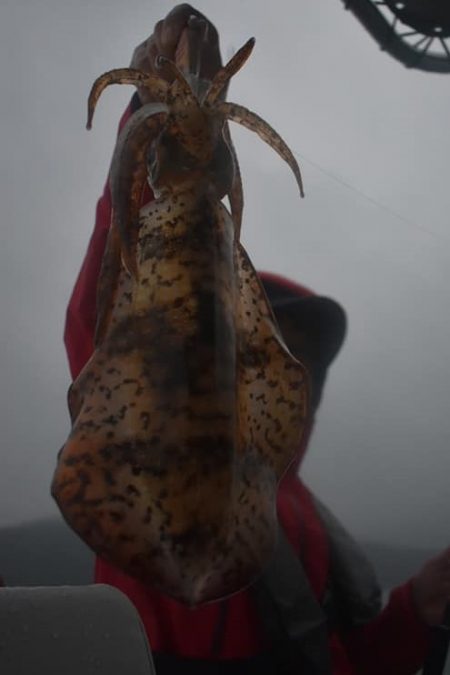 Fisherman Dreams DI 釣果