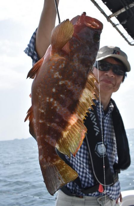 Fisherman Dreams DI 釣…