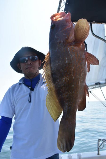 Fisherman Dreams DI 釣…